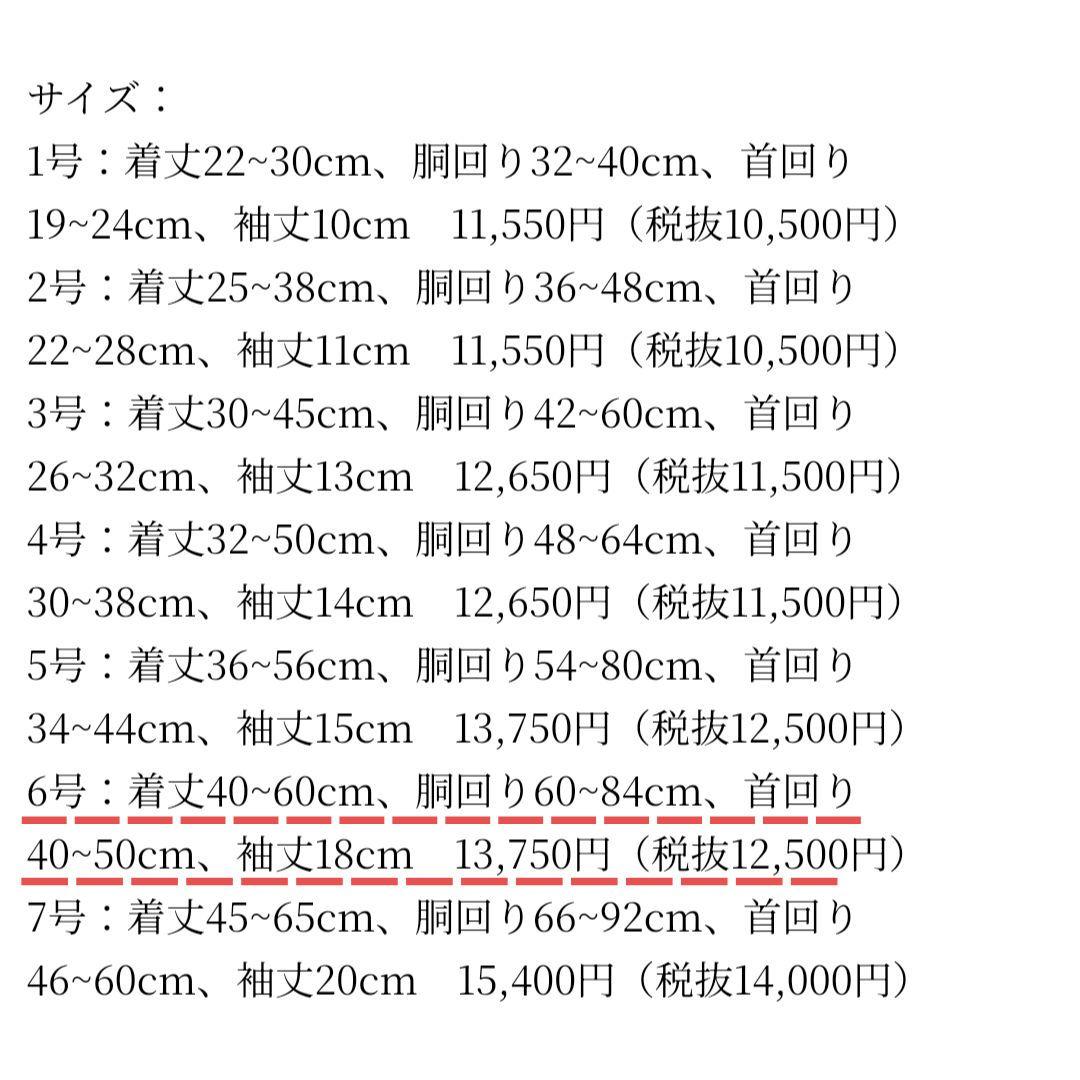 E 4legs 6号