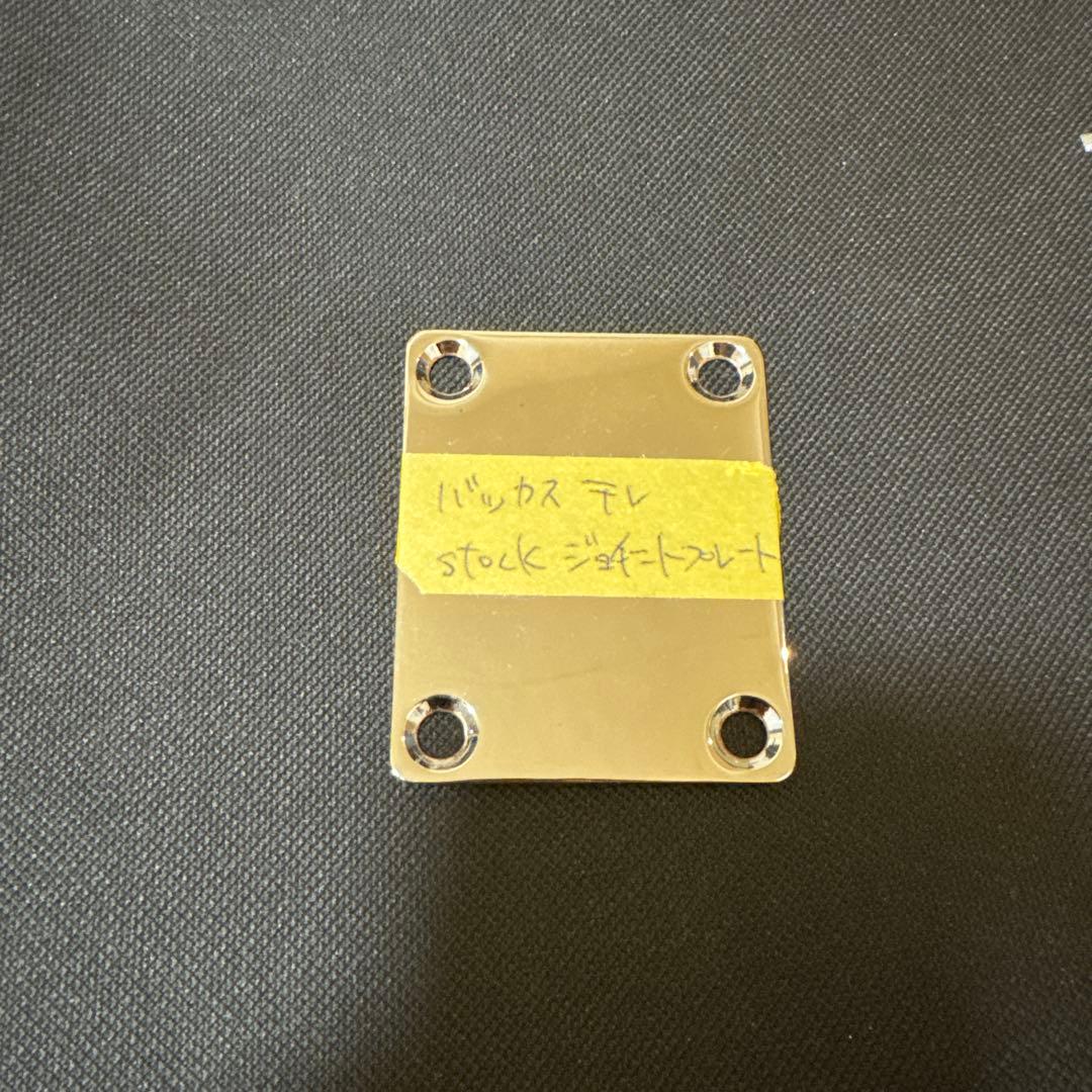 Bacchus テレキャスター 改造 Rio Grande搭載 時雨TK系