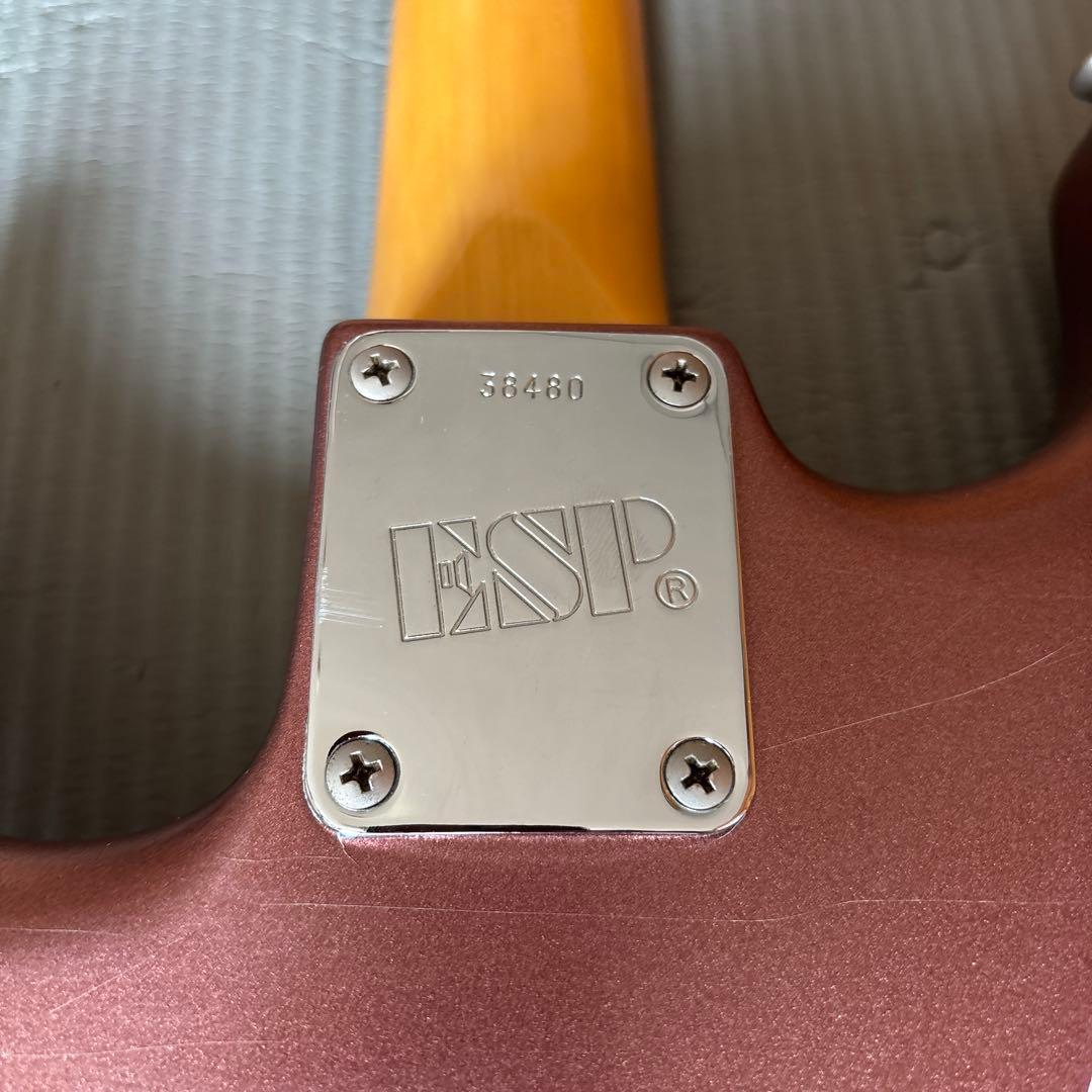 1980年代ESP カスタムオーダー