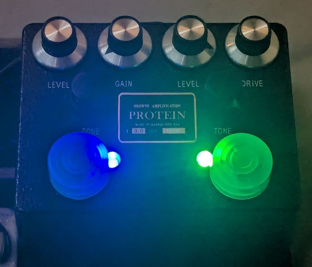 browne amplification PROTEIN クローン