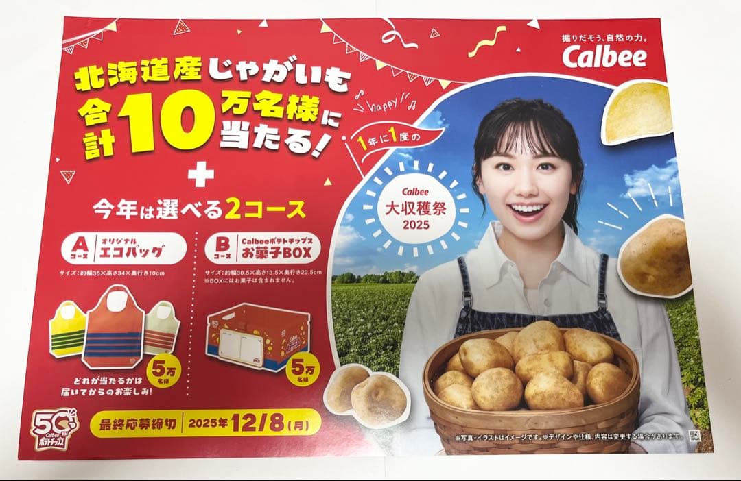 う*ん様 カルビー大収穫祭2025 カルビーポテトチップス 広告ポスター　芦田愛
