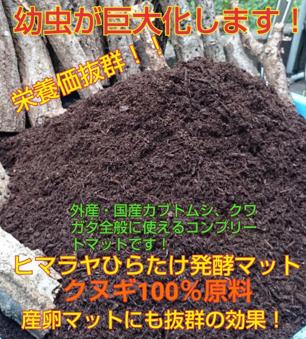 送料無料！カブトムシ幼虫の餌！栄養価抜群なので大きくなります！クワガタにも使える