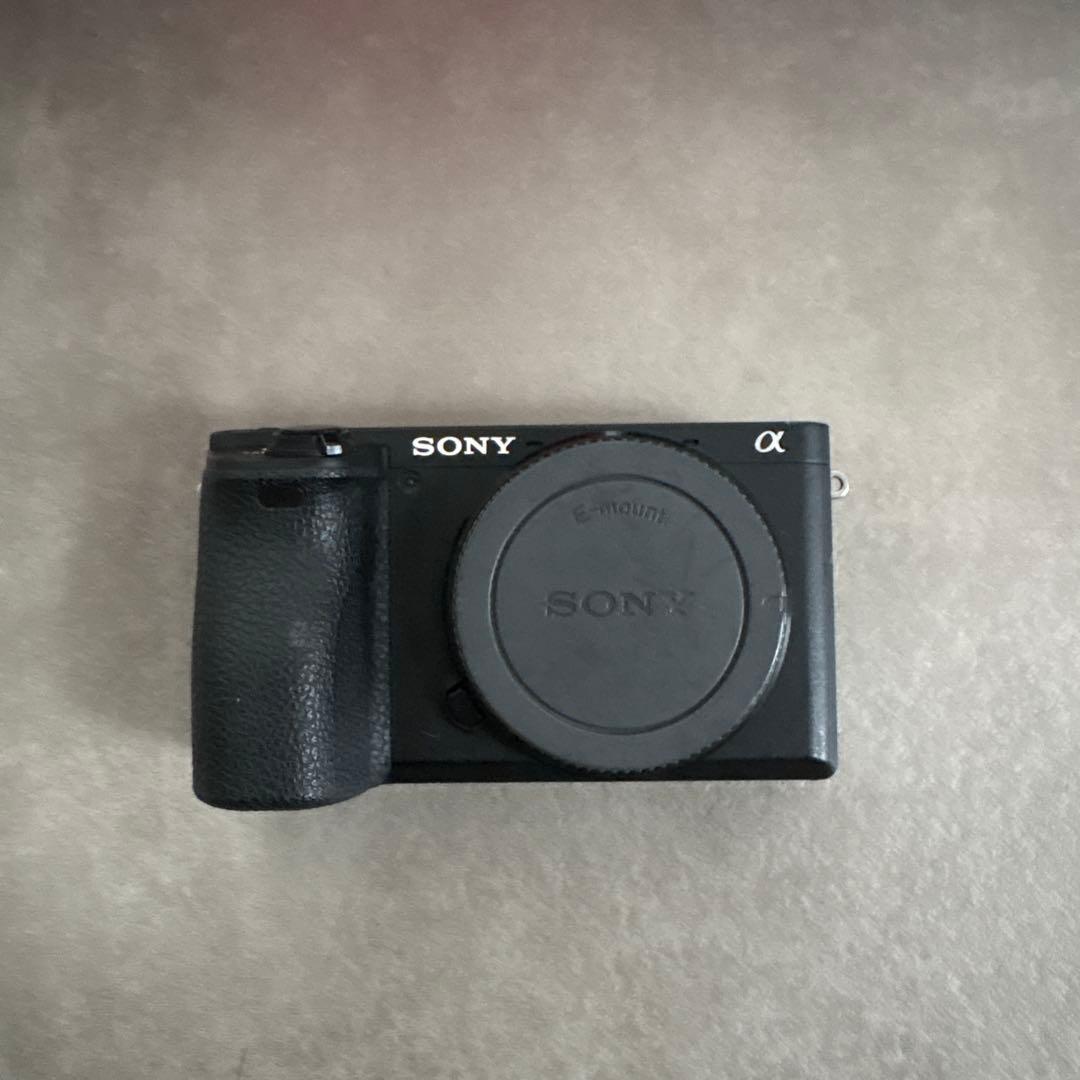 a6500 ボディ