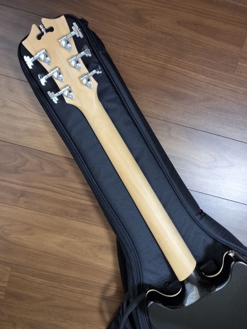 ほぼ未使用 D'angelico Premier Brighton Mod