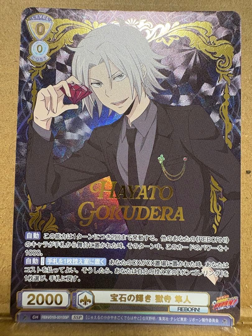 家庭教師ヒットマンREBORN ヴァイスシュヴァルツ 獄寺