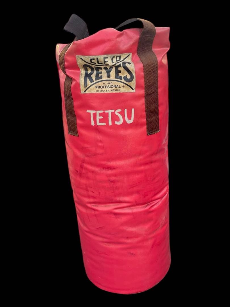 Reyes レイジェスサンドバッグ