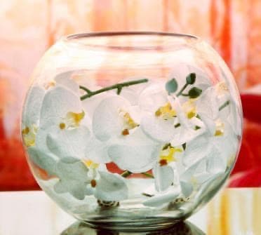 金魚鉢 ガラス製 花瓶 アクアリウム テラリウム ４０ｃｍ 新品訳あり