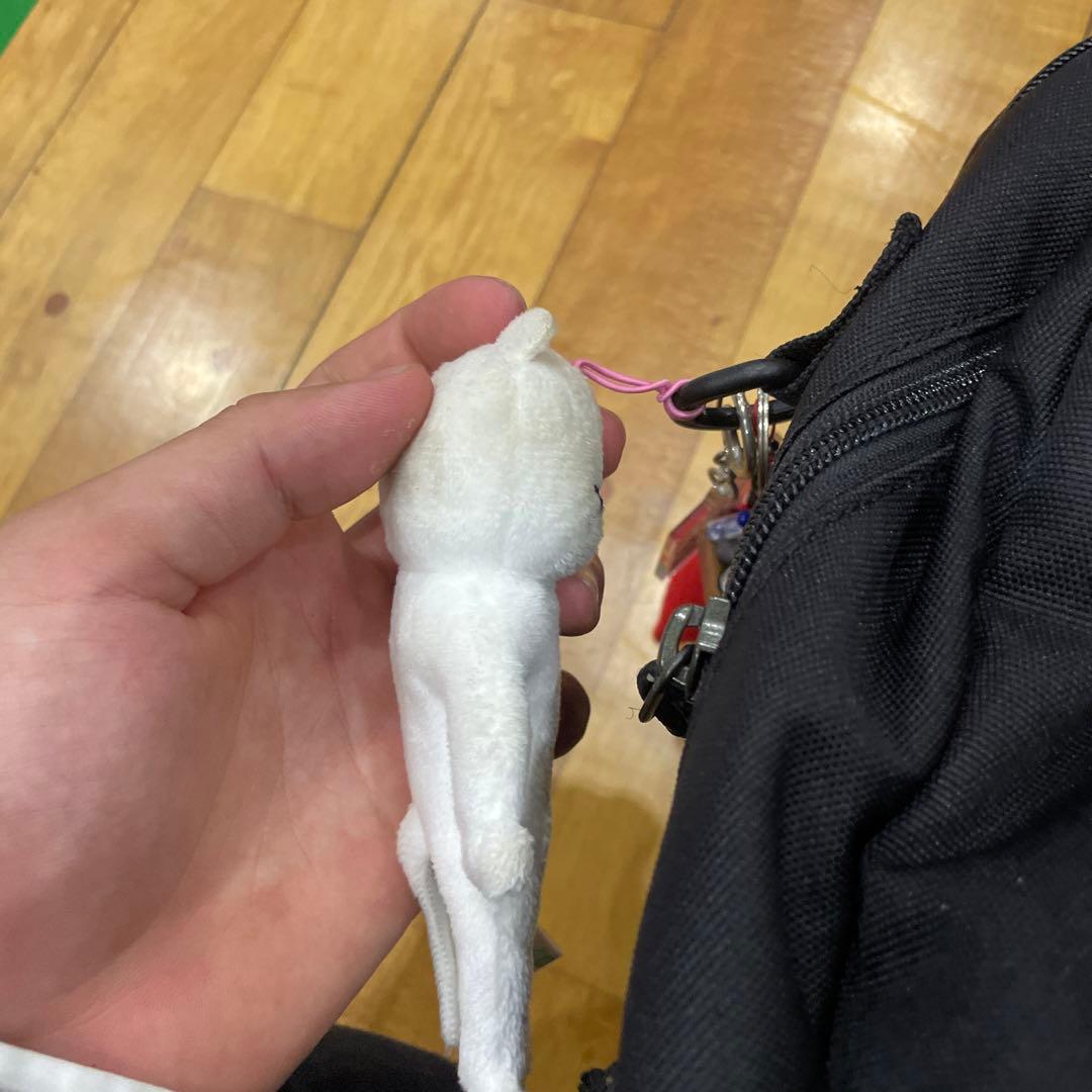 たいがのきーぼ