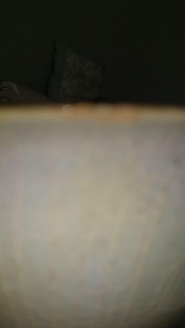 李朝　鉢