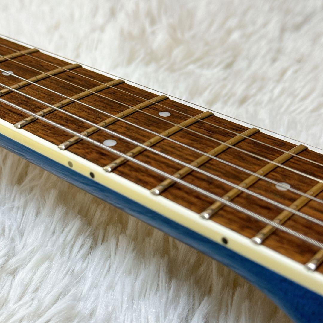 フレイムトップ！FERNANDES APG サスティナー搭載 ブルー 青