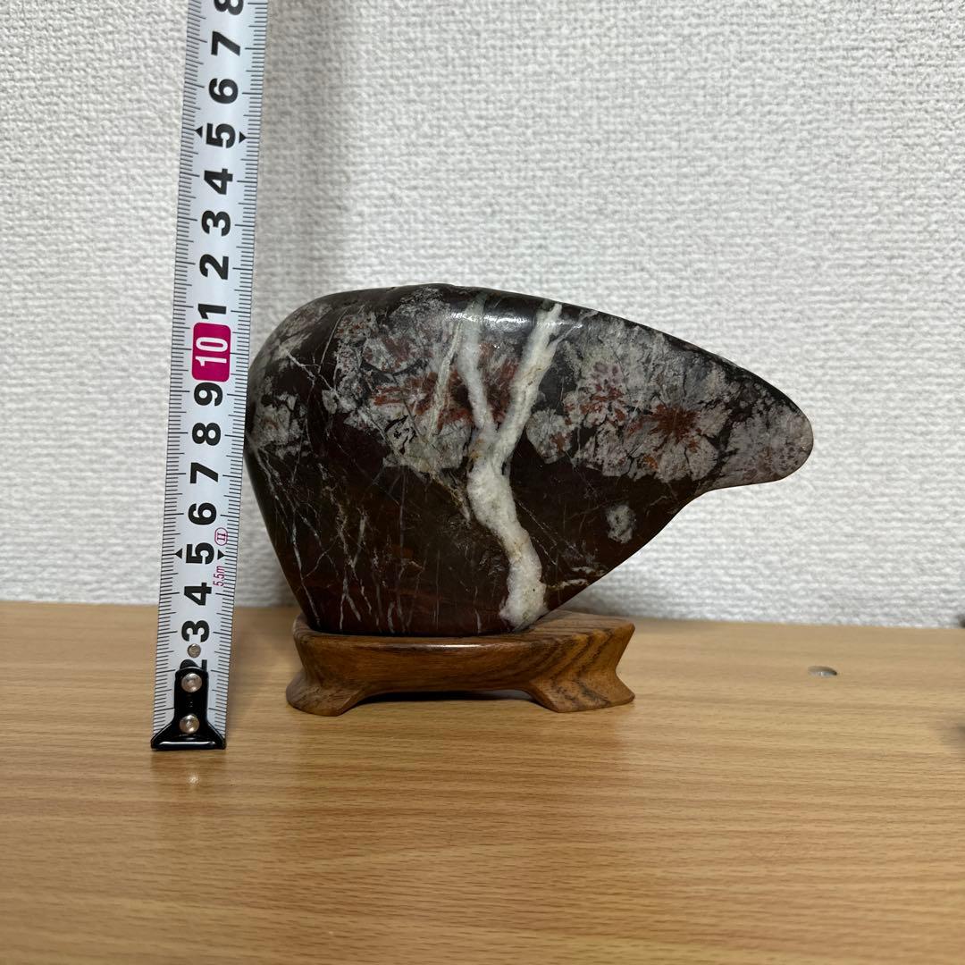菊花石　桜