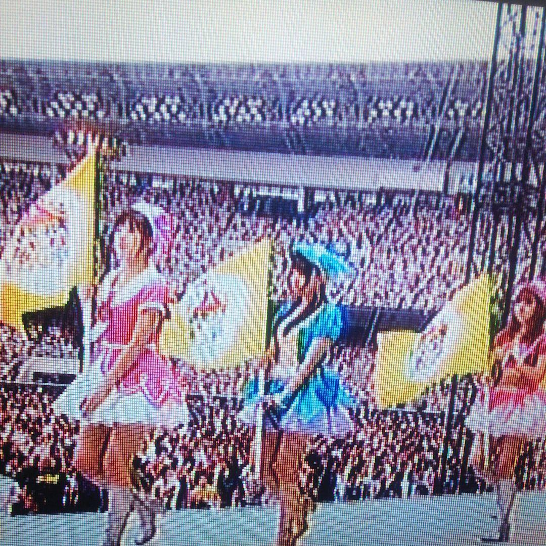 AKB48 スーパーフェスティバル 日産スタジアム メンバー使用フラッグ 希少