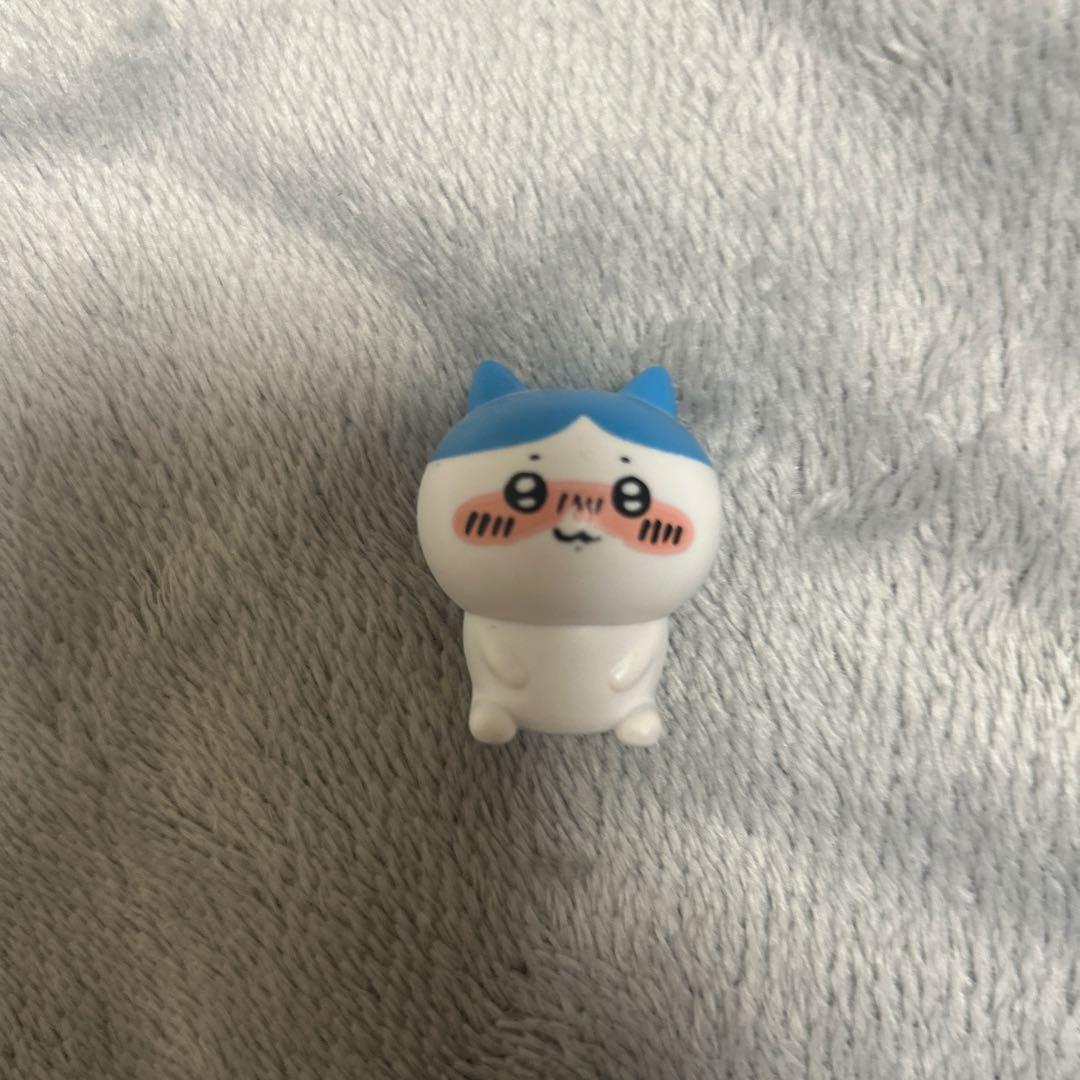ハチワレ