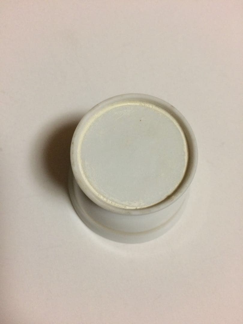 仕掛け盃 浮絵盃 骨董 珍品