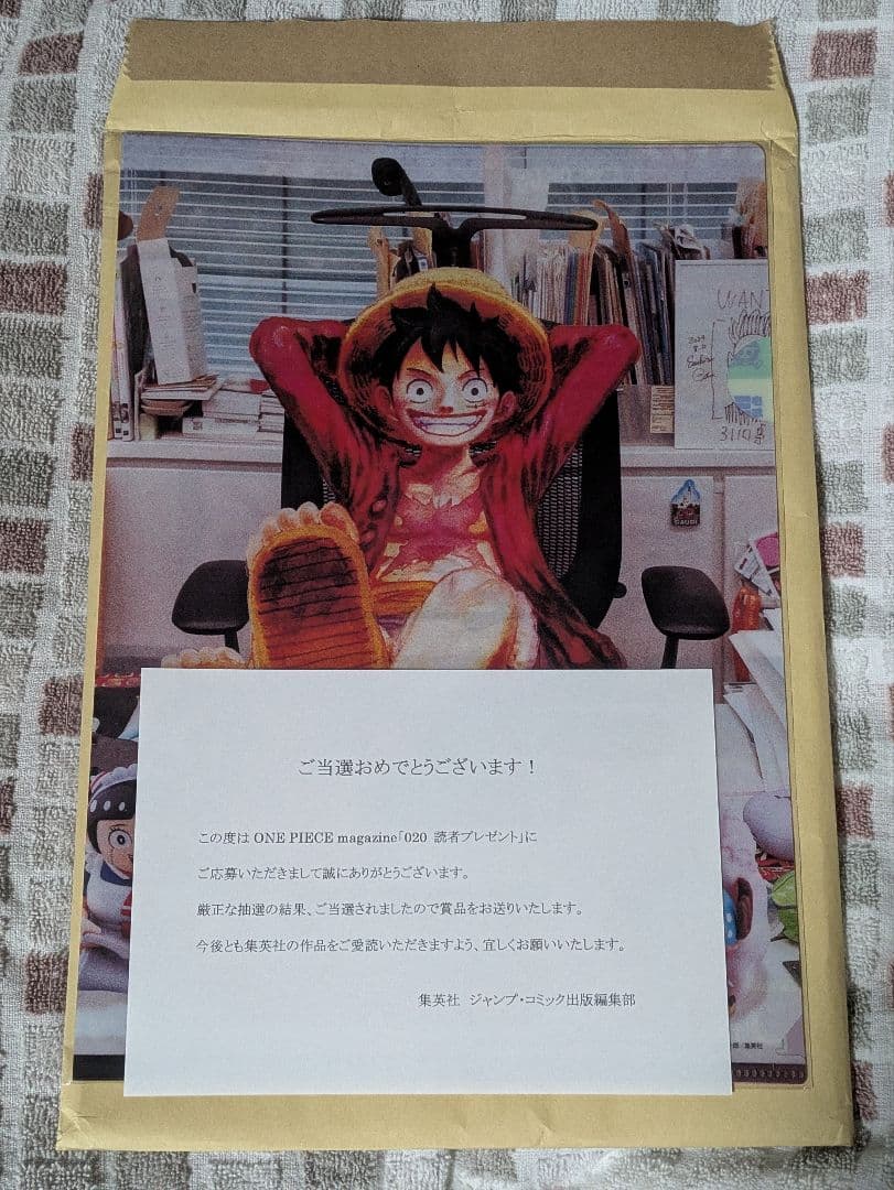 ワンピースマガジン クリアファイル 当選品