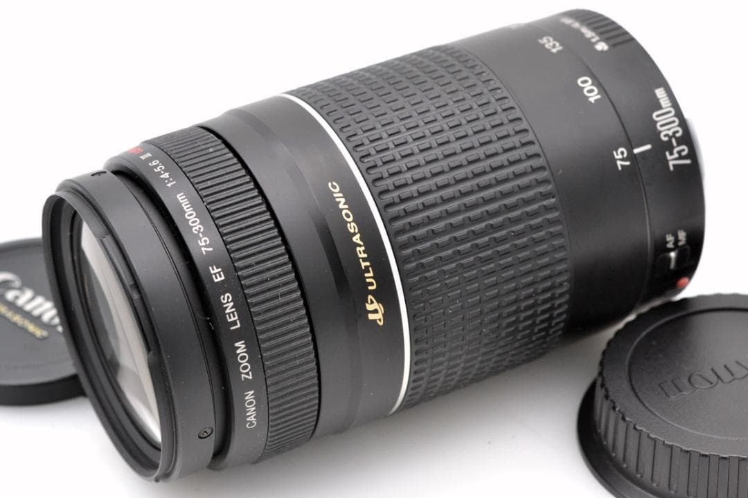 レンズ(ズーム) Canon EF 75-300mm 4-5.6 III USM (4)