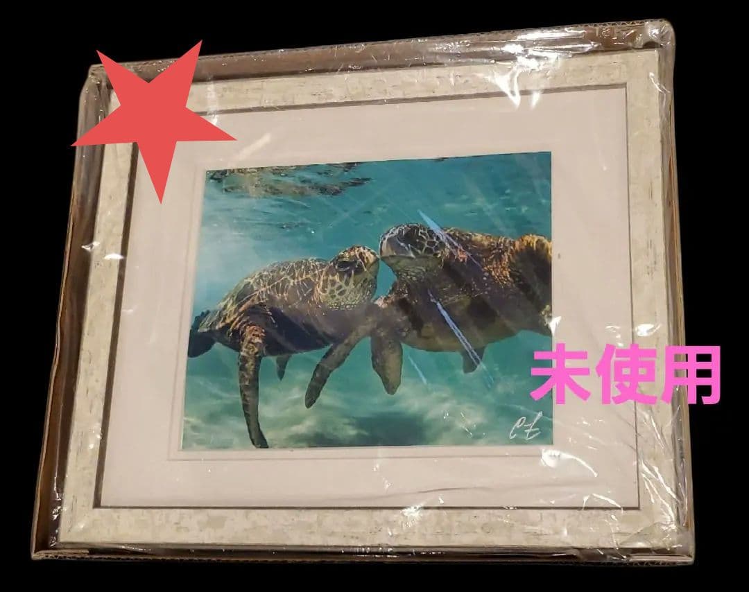 ★未使用 ウミガメの絵画