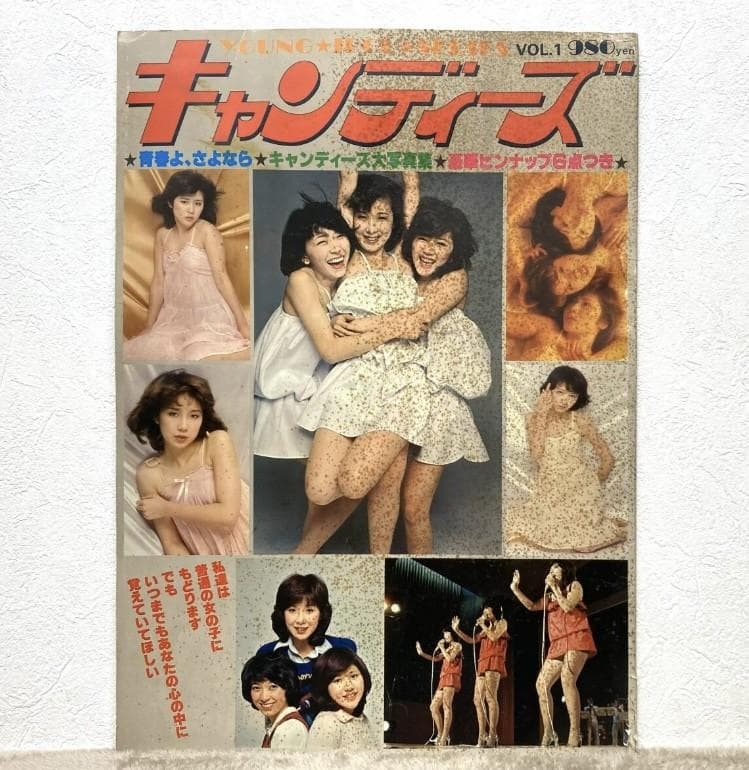 ☆☆当時物【キャンディーズ】お宝グッズ まとめ売り トレーナー/写真集/バッジ他