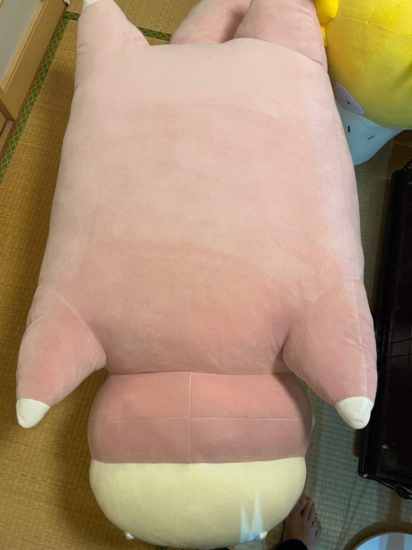 等身大ヤドン　タグ、箱付き
