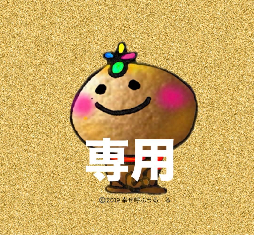 【専用】