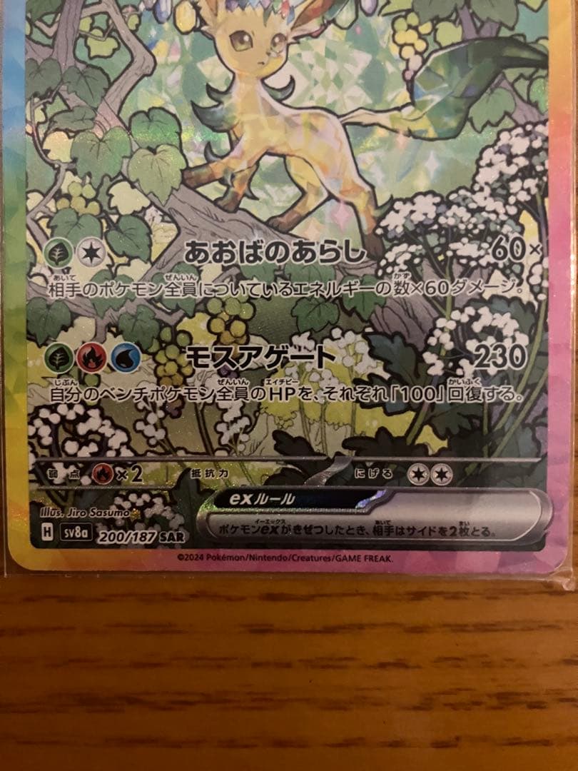 【美品】テラスタルフェス　ブイズsarバラ売り可