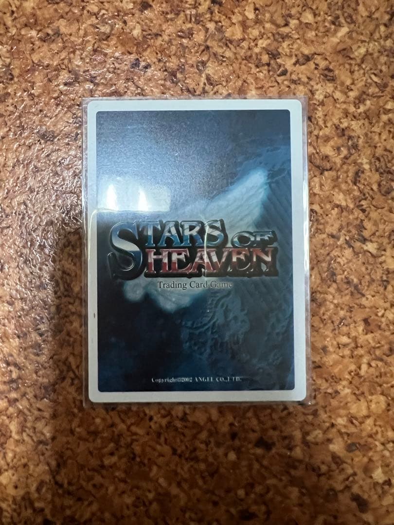 TCG スターズオブヘブン サインカード 剣康之