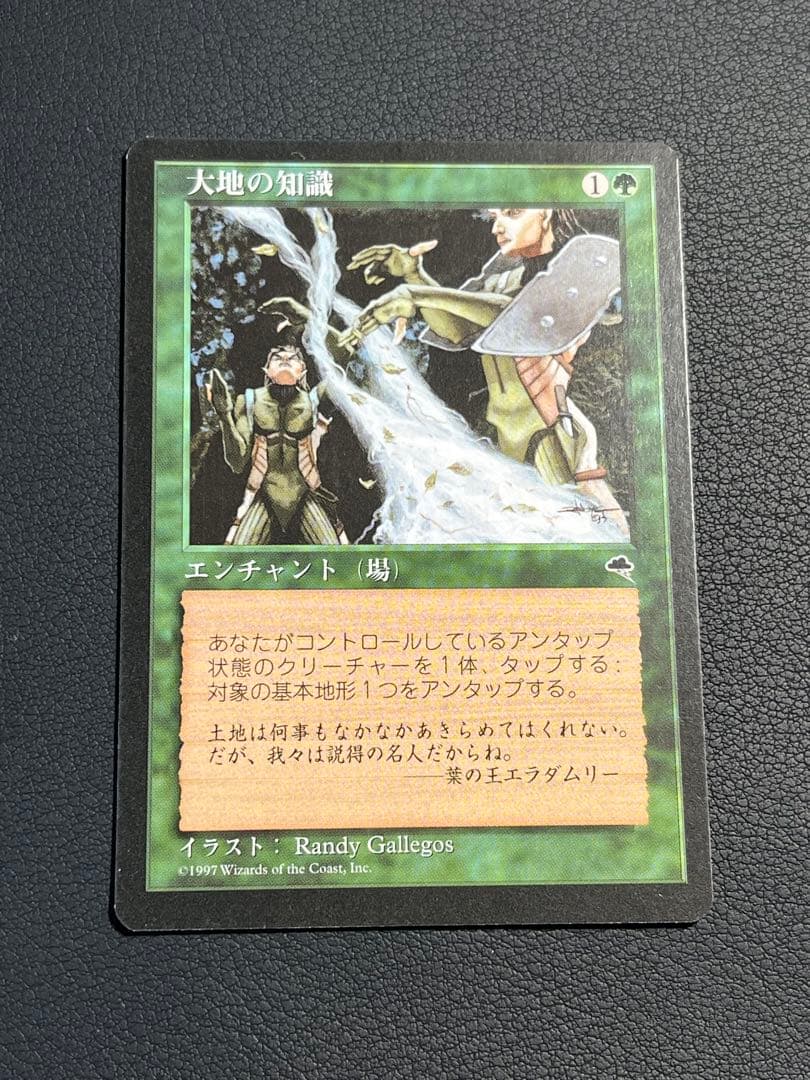 MTG 大地の知識　日本語　テンペスト