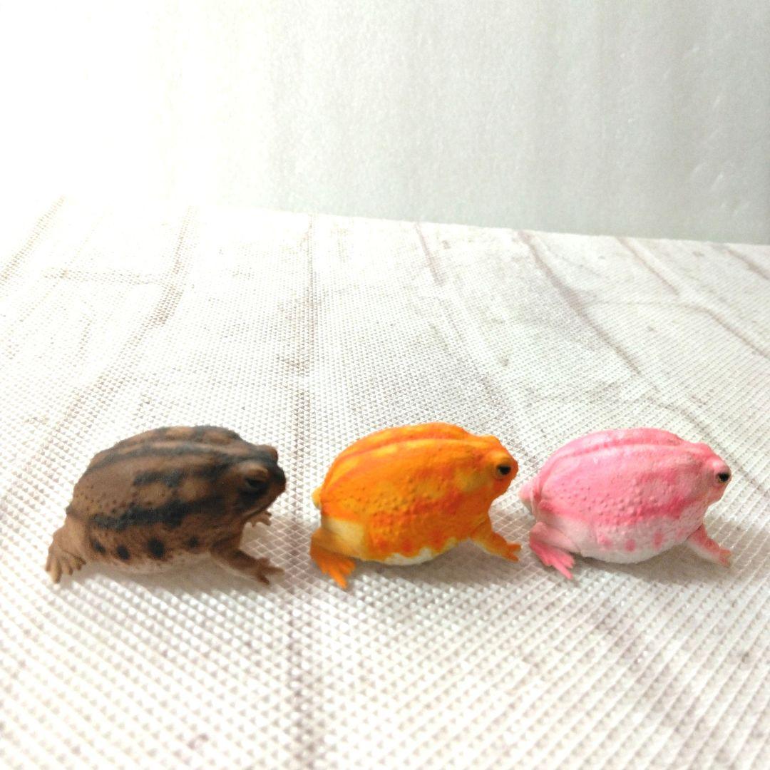 フクラガエル　リアルフィギュア　コンプリート