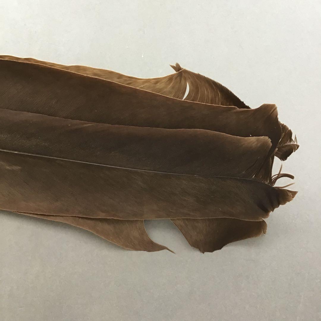 茶道具　羽箒(孔雀羽入り) 紙箱(修復歴あり、紙箱劣化有)　S21HB