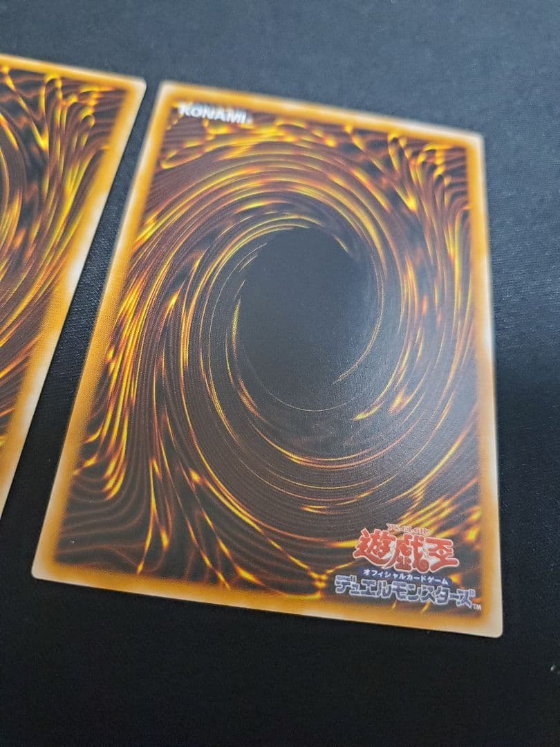 遊戯王　ダークネクロフィア　レリーフ