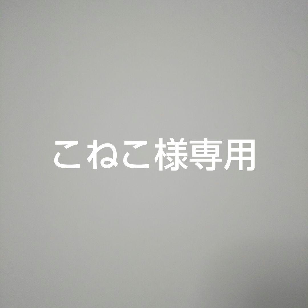 こねこ