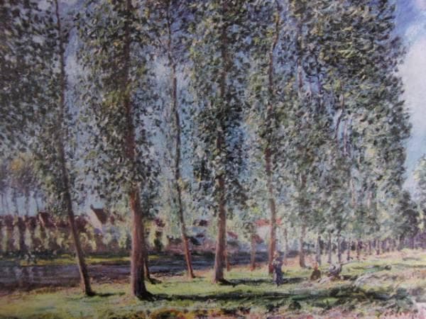 アルフレッド・シスレーL'ALLEE DES PEUPLIERS A MORET