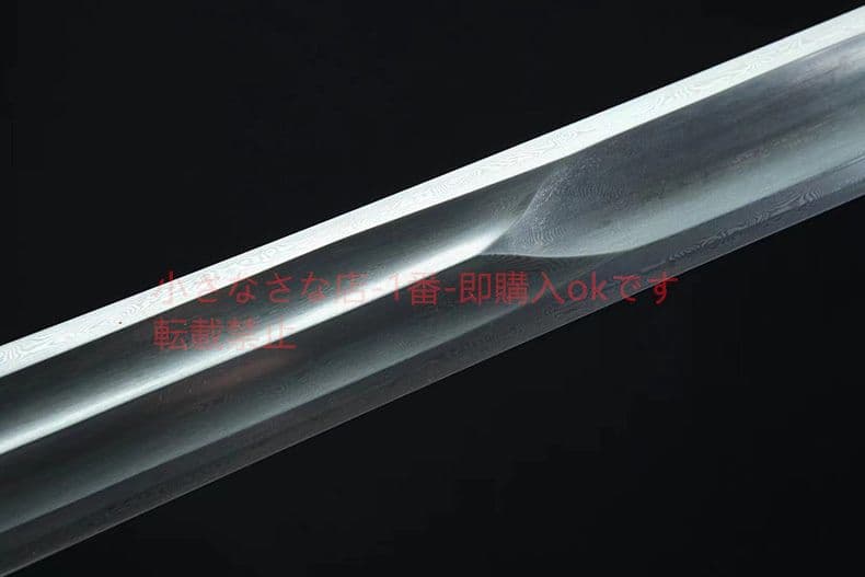 龍摩戦剣 古兵器 武具 刀装具 日本刀 模造刀 居合刀