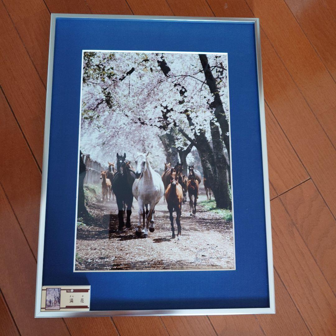 JRA　競馬　馬写真（額入り）　満花