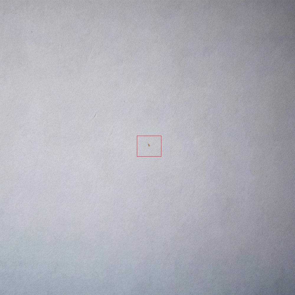 井上公三 開花 シルクスクリーン 40号 直筆サイン 版画 HiBell ART