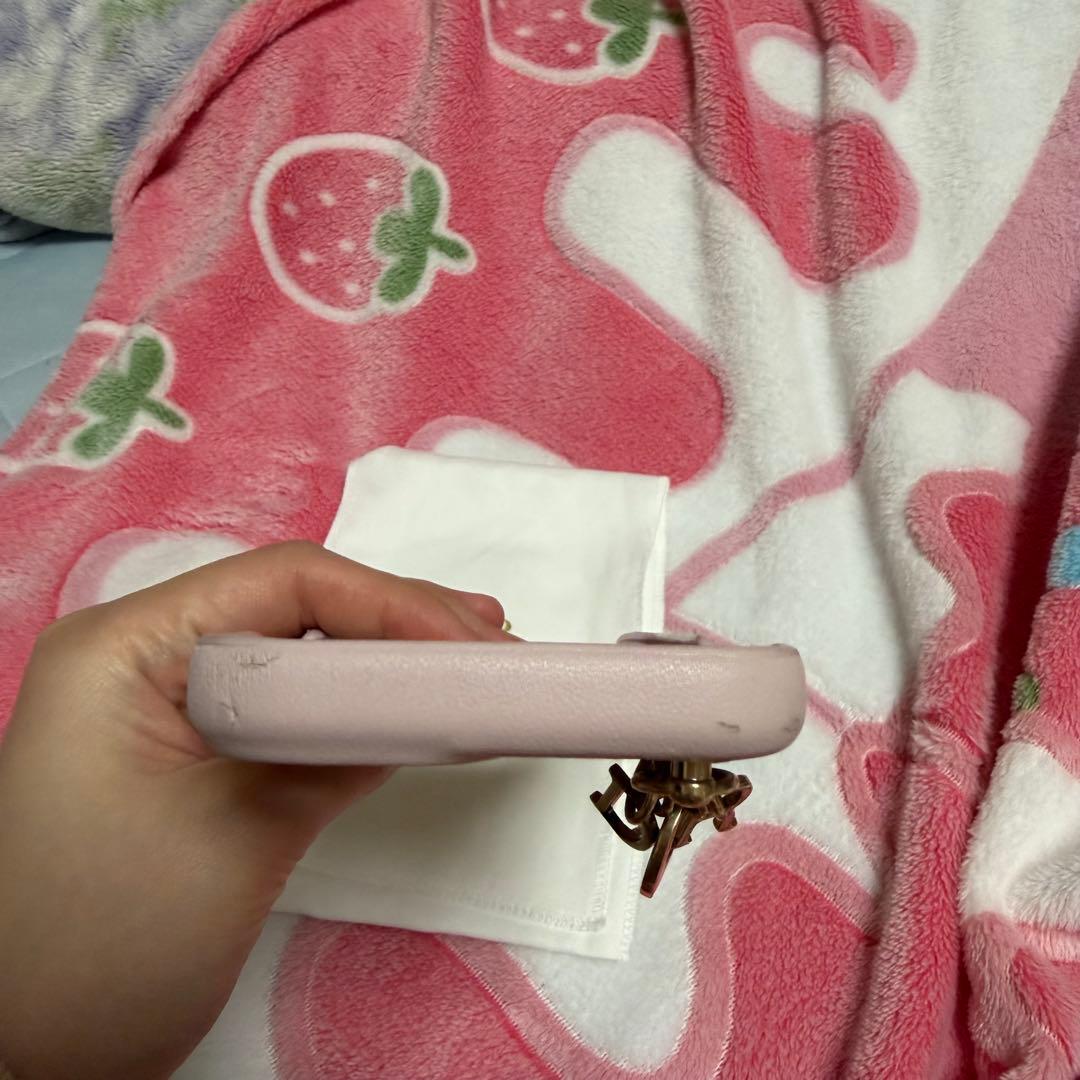 Dior iPhone15ケース