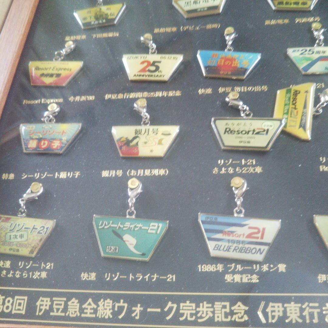 伊豆急行全線ウォーク完歩記念