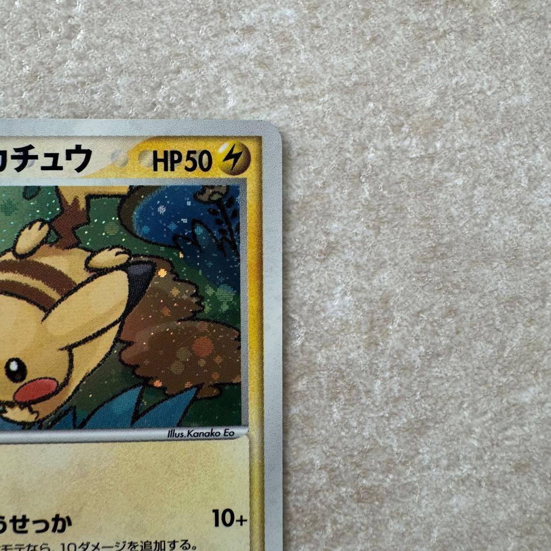 ポケパークのピカチュウ　004