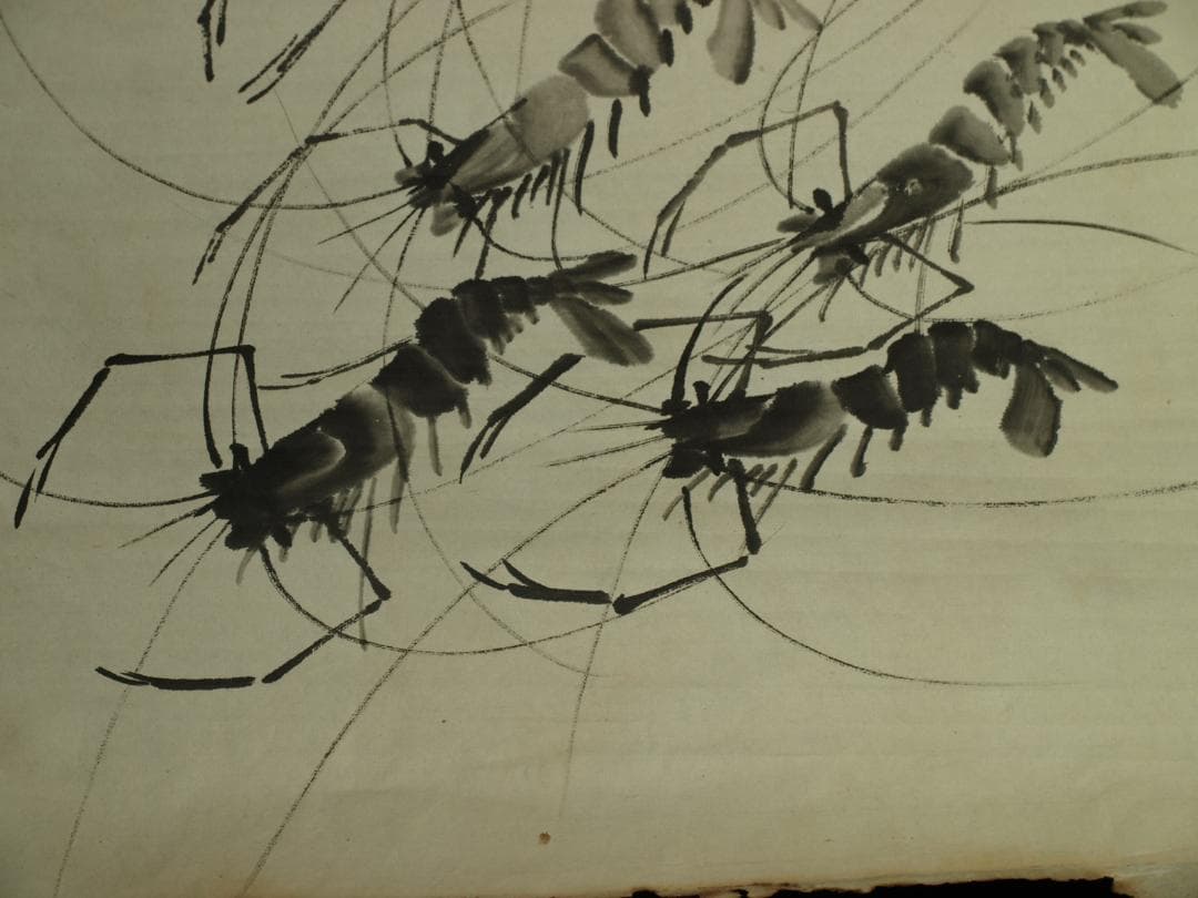 骨董市仕入れ品　中国近時代 白石作 虾図 掛軸　肉筆保証 BD620C11-4