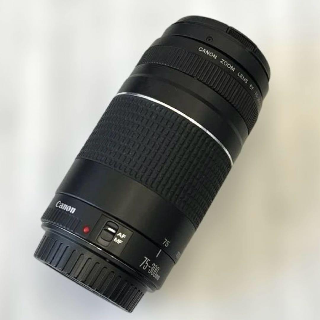 Canon 75-300mm ズームレンズ
