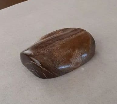 121.世界にひとつだけ！青珊瑚(レインボーコーラル)のアクセサリーパーツ