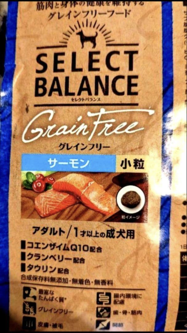 セレクトバランス グレインフリー アダルト サーモン 成犬用 10kg