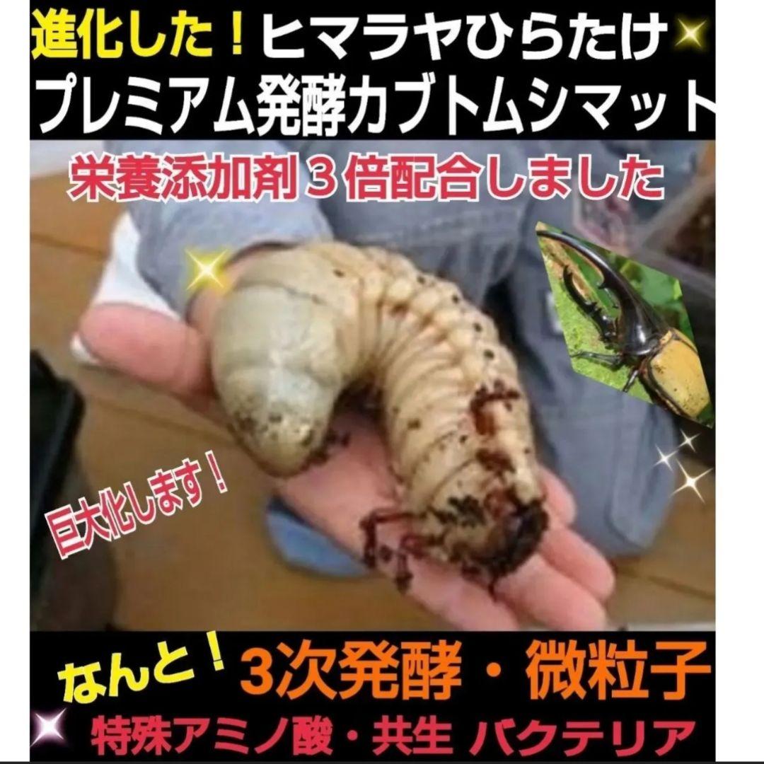 ヘラクレス幼虫が大きくなる！プレミアム3次発酵マット【60リットル】産卵にも抜群