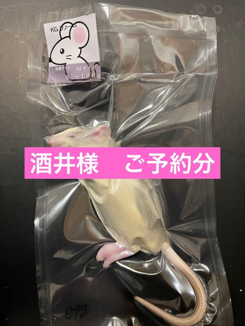 冷凍ラット　酒井様ご予約分ホッパー70匹　3L5匹