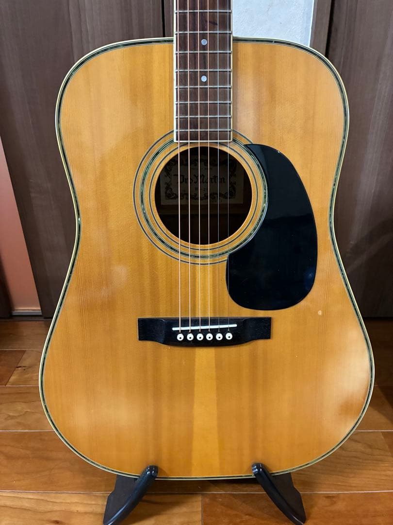 ProMartin w-200 縦ロゴ　アコースティックギター