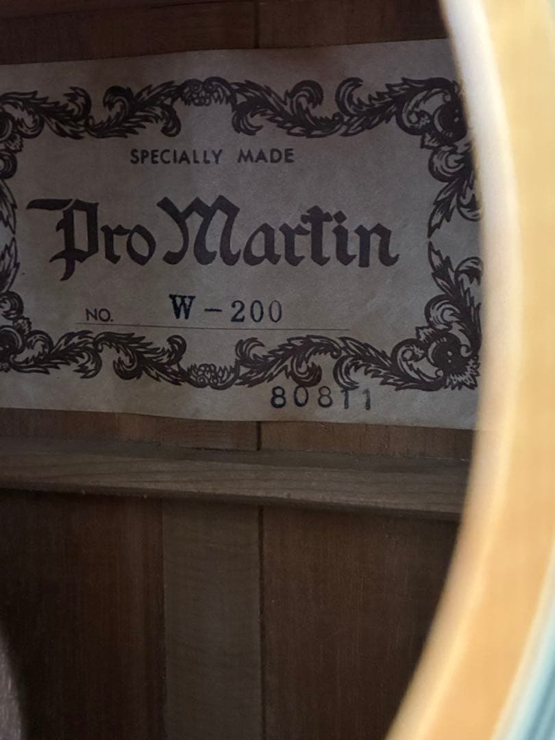 ProMartin w-200 縦ロゴ　アコースティックギター