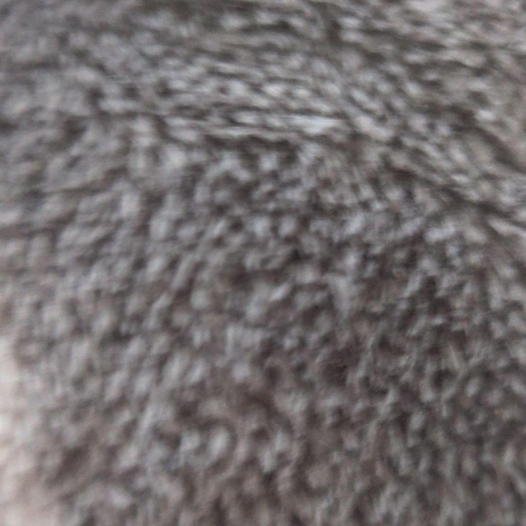 「め」サイト