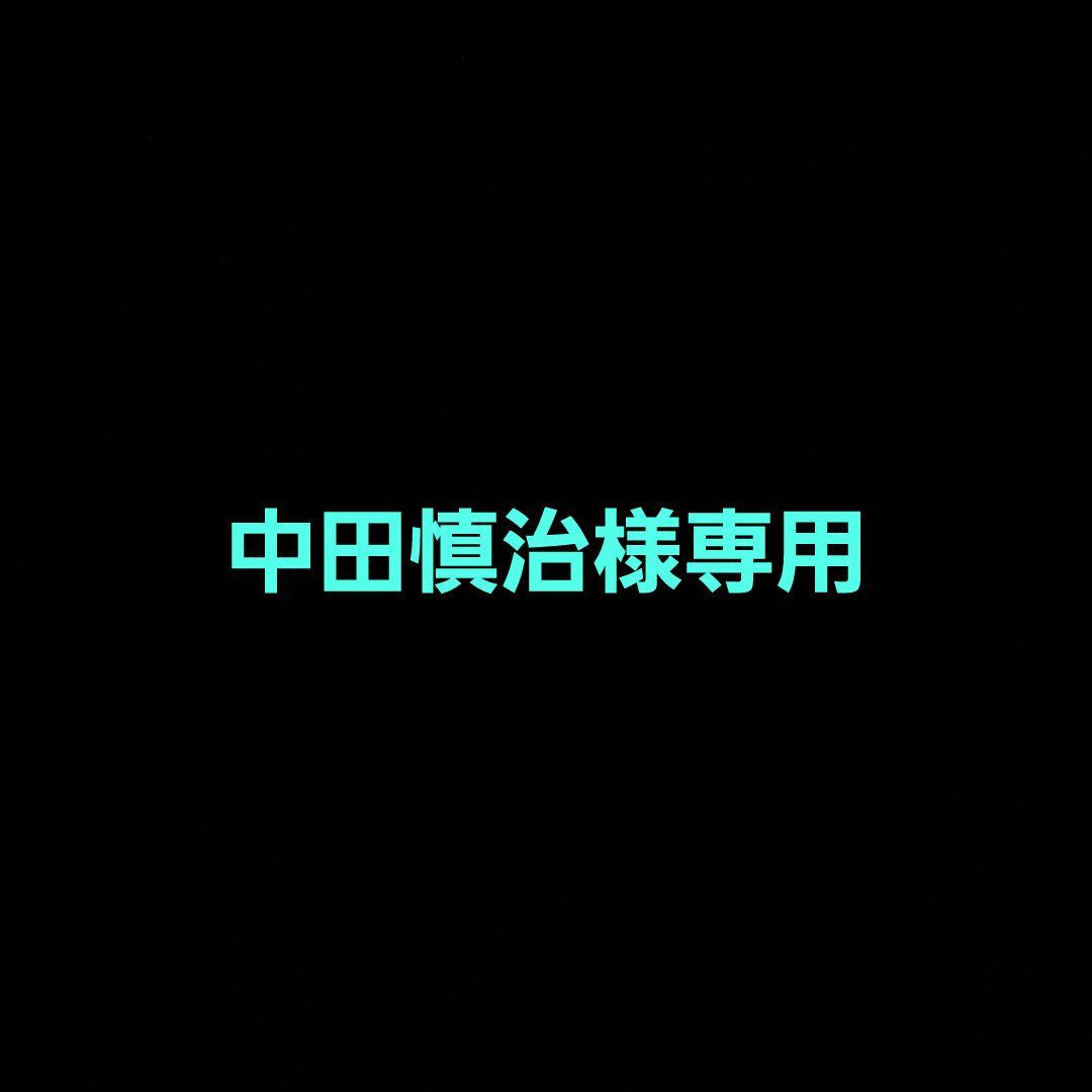 中田慎治品