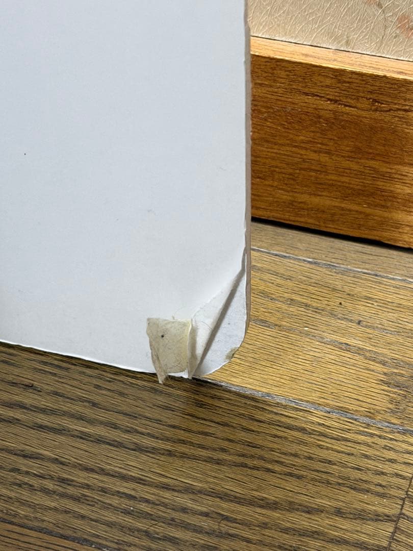 狼と香辛料　ホロ ￼スタンドパネル