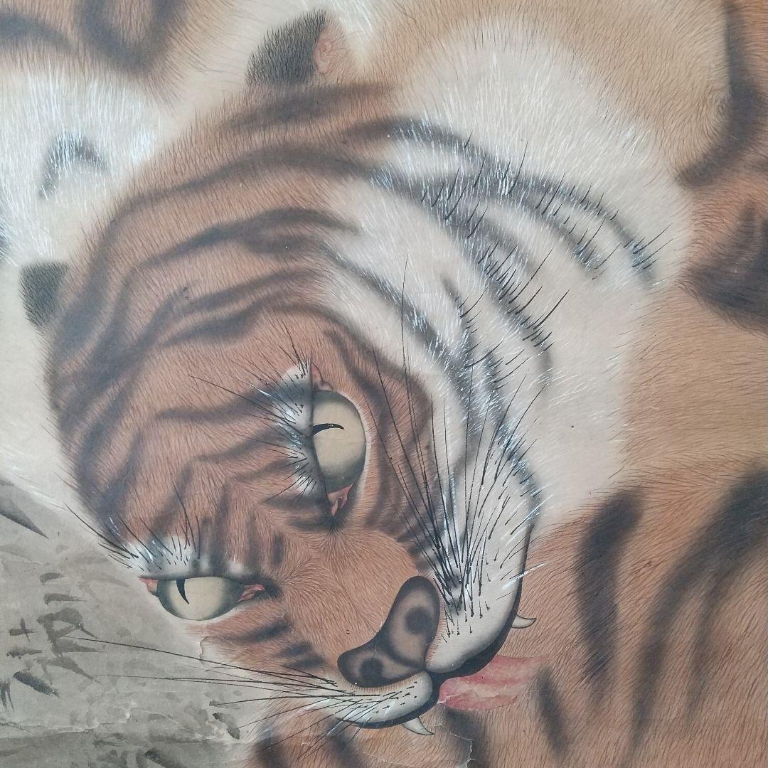 江戸絵画  虎  掛け軸  肉筆  江戸時代  貴重  骨董  茶道具